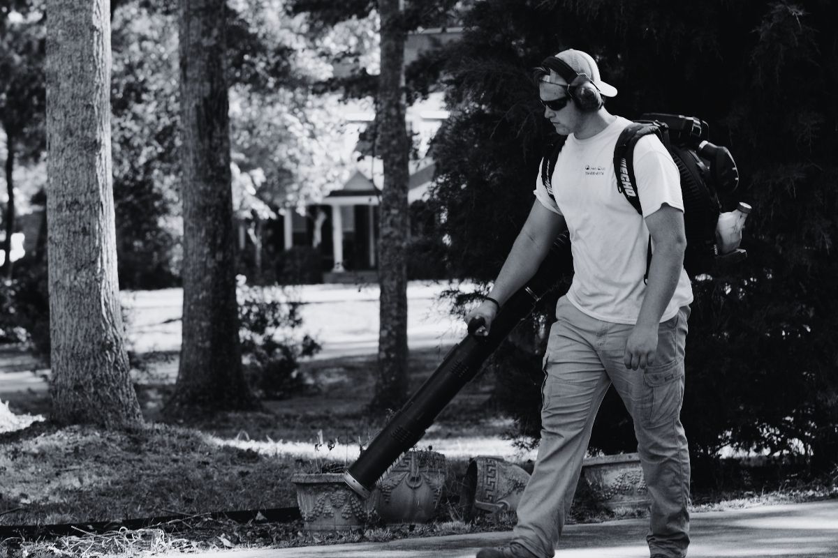 Landscapers hero image