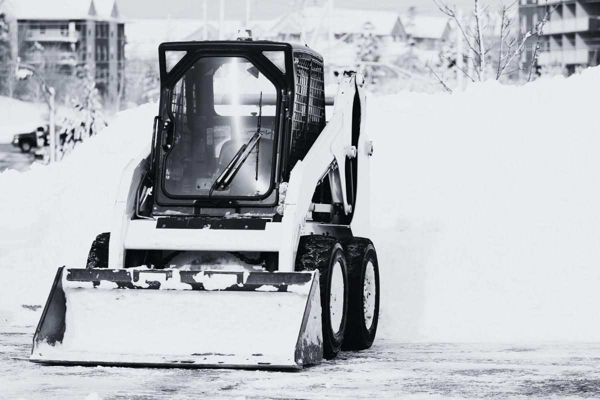Landscapers team image